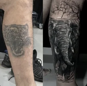 Cobertura Tribal
