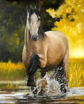 Cavalo na Água