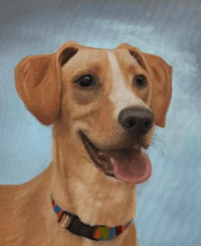 Retrato Canino